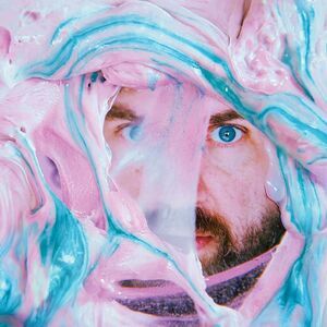 Pictish Trail - Life Slime  CD